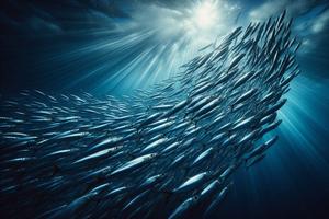 Thumbnail for Algorithmic Sardine: A Philosophy for Purposeful Movement